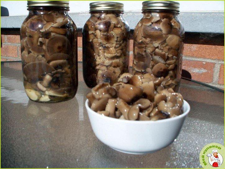 Соление грибов на зиму