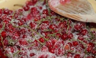 Варенье из красной смородины на зиму - фото шаг 1