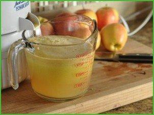 Сидр из яблочного сока - фото шаг 1