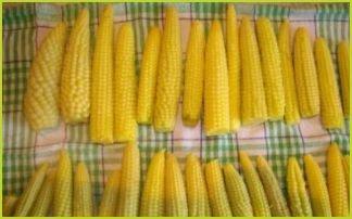 Закатка кукурузы - фото шаг 3