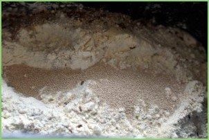 Багеты с отрубями на сухом молоке - фото шаг 1